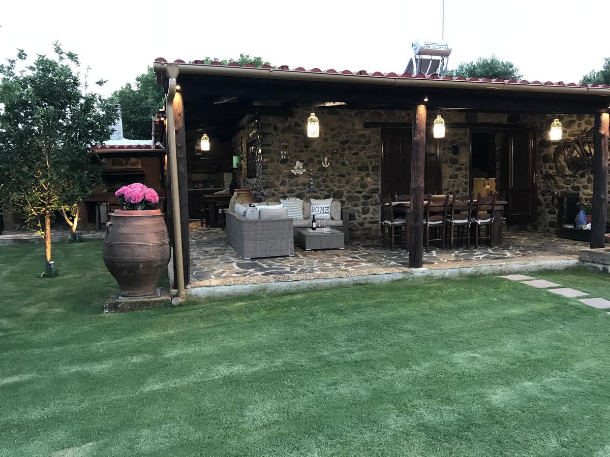 Villa Casa Avocado Tavronitis Zewnętrze zdjęcie