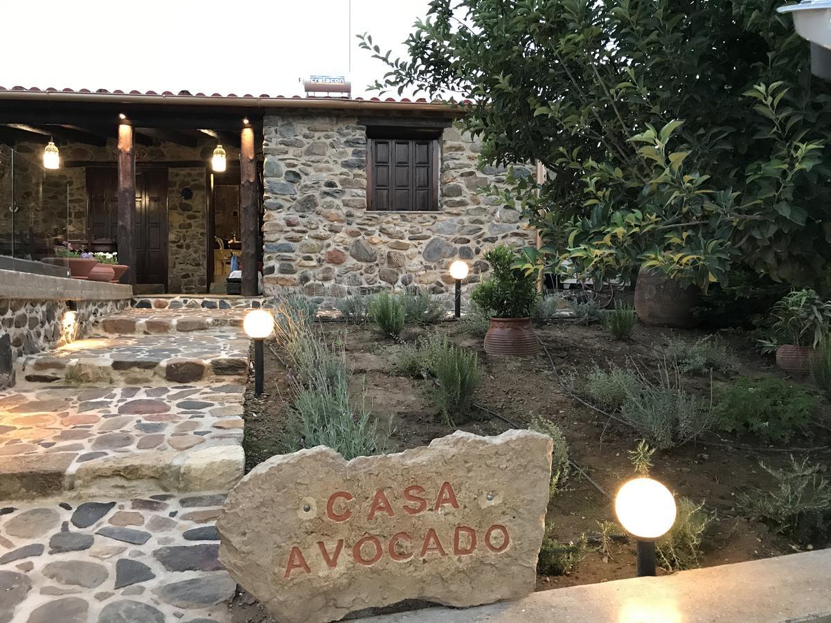 Villa Casa Avocado Tavronitis Zewnętrze zdjęcie