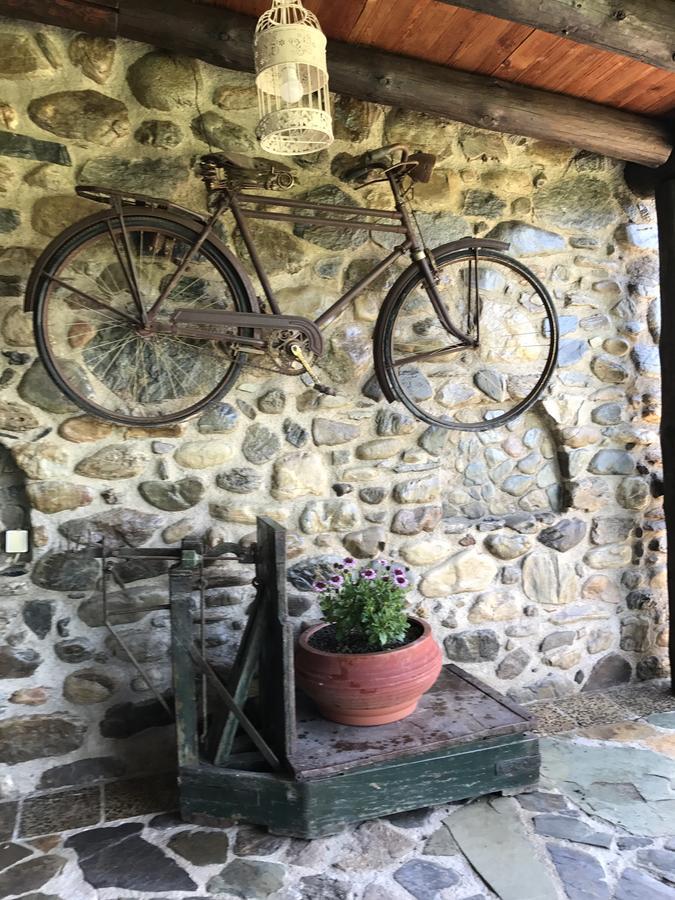 Villa Casa Avocado Tavronitis Zewnętrze zdjęcie