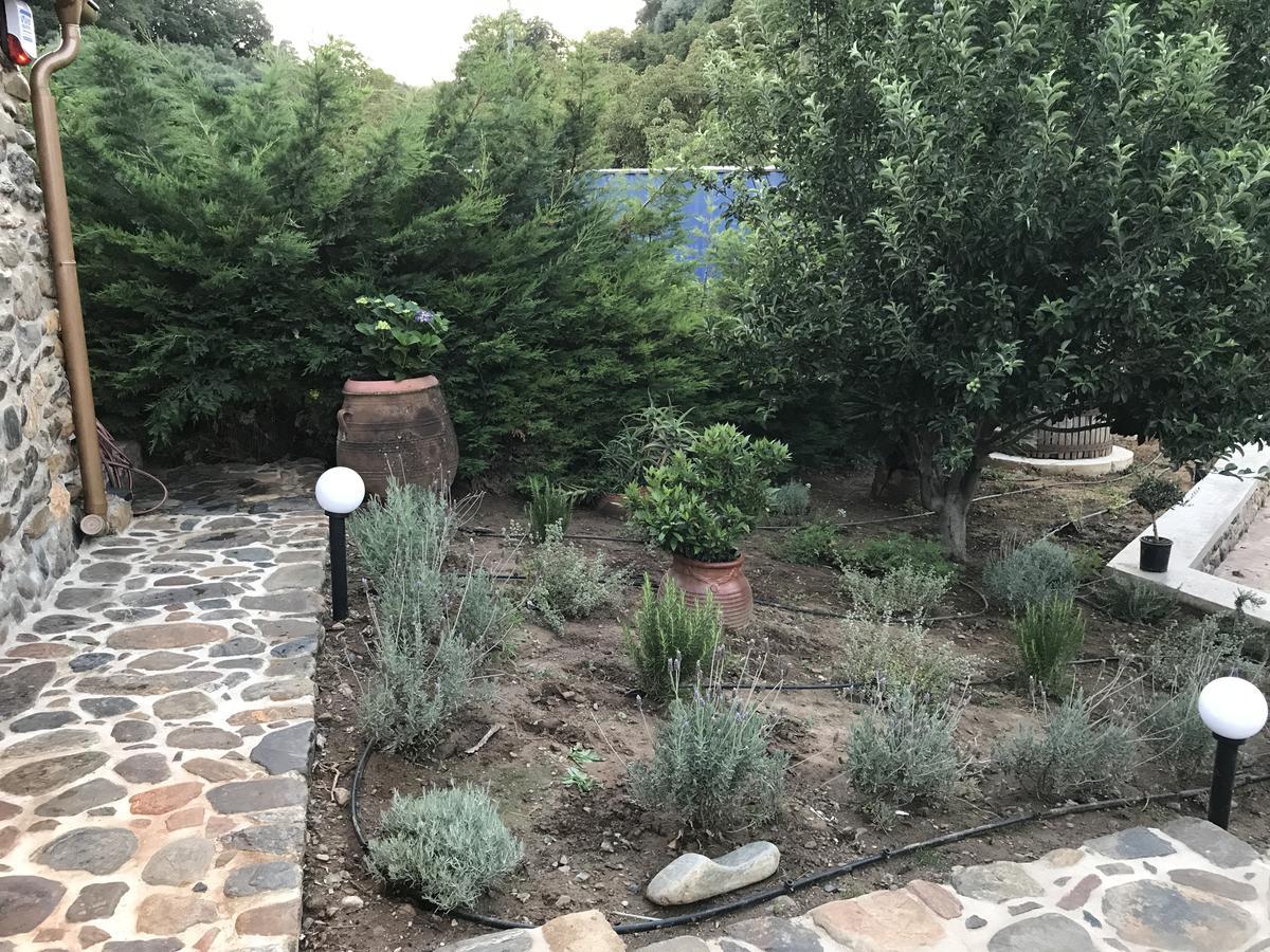 Villa Casa Avocado Tavronitis Zewnętrze zdjęcie