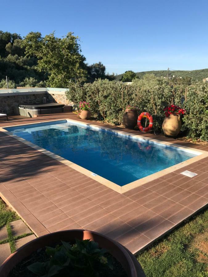 Villa Casa Avocado Tavronitis Zewnętrze zdjęcie