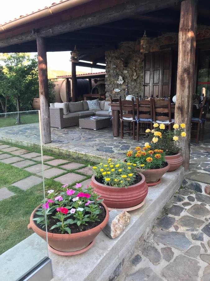 Villa Casa Avocado Tavronitis Zewnętrze zdjęcie